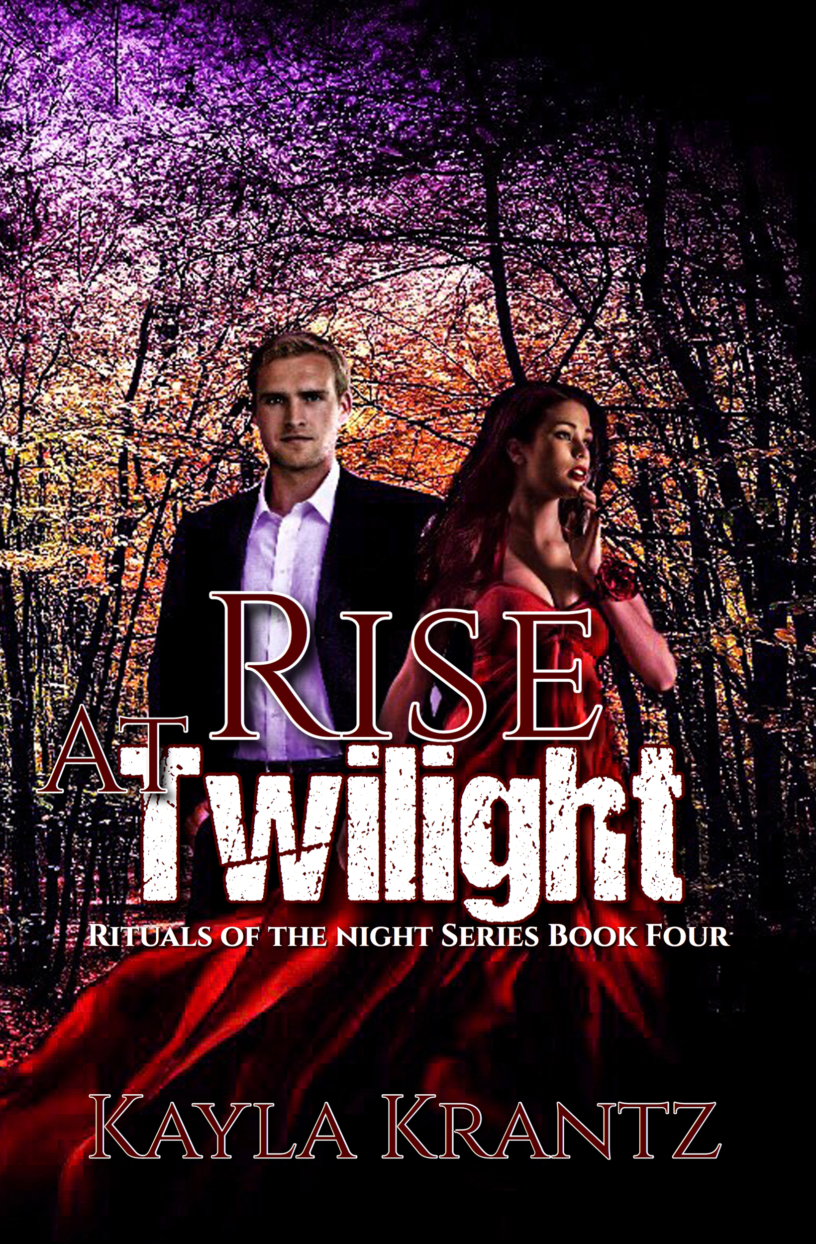 Rise at Twilight book cover