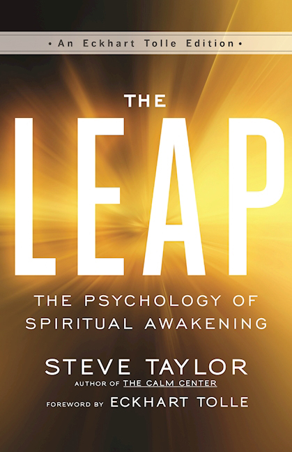 The Leap book cover