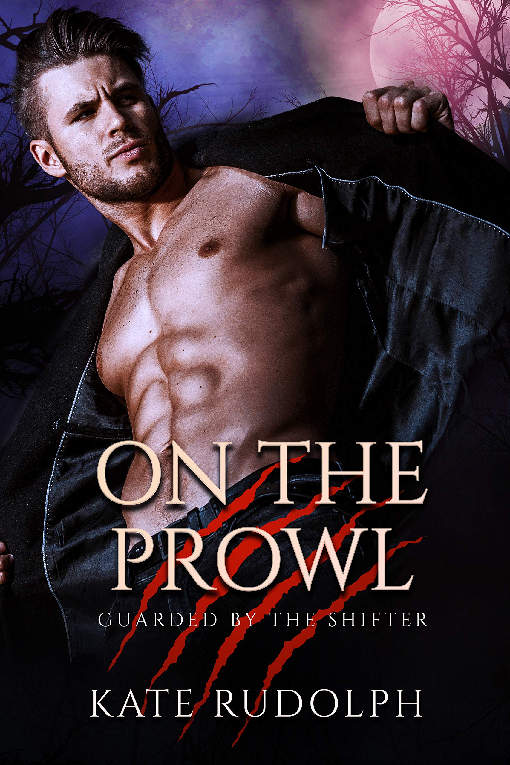 Guarded by the Shifter book cover 2