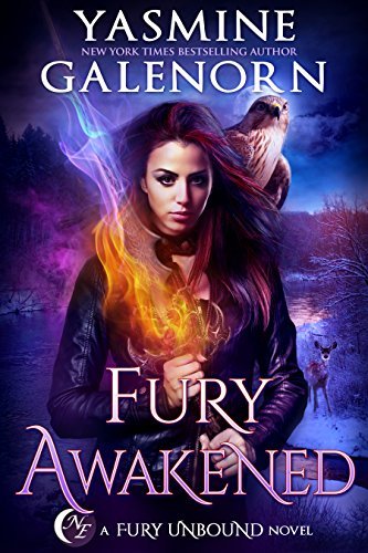 Fury Unbound book cover 3