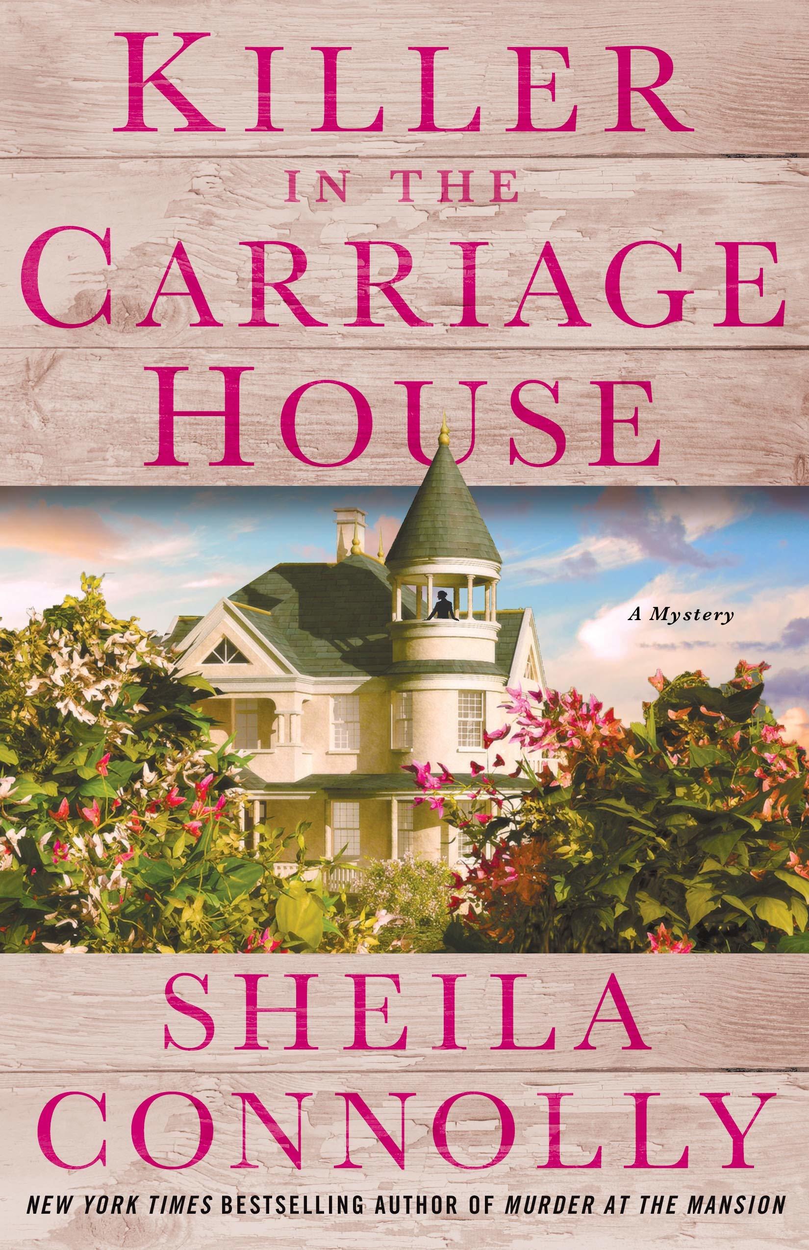 Victorian Village Mysteries book cover 2