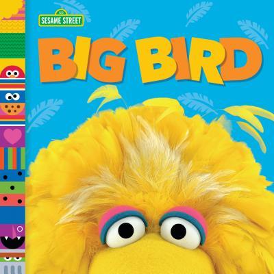 Big Bird book cover