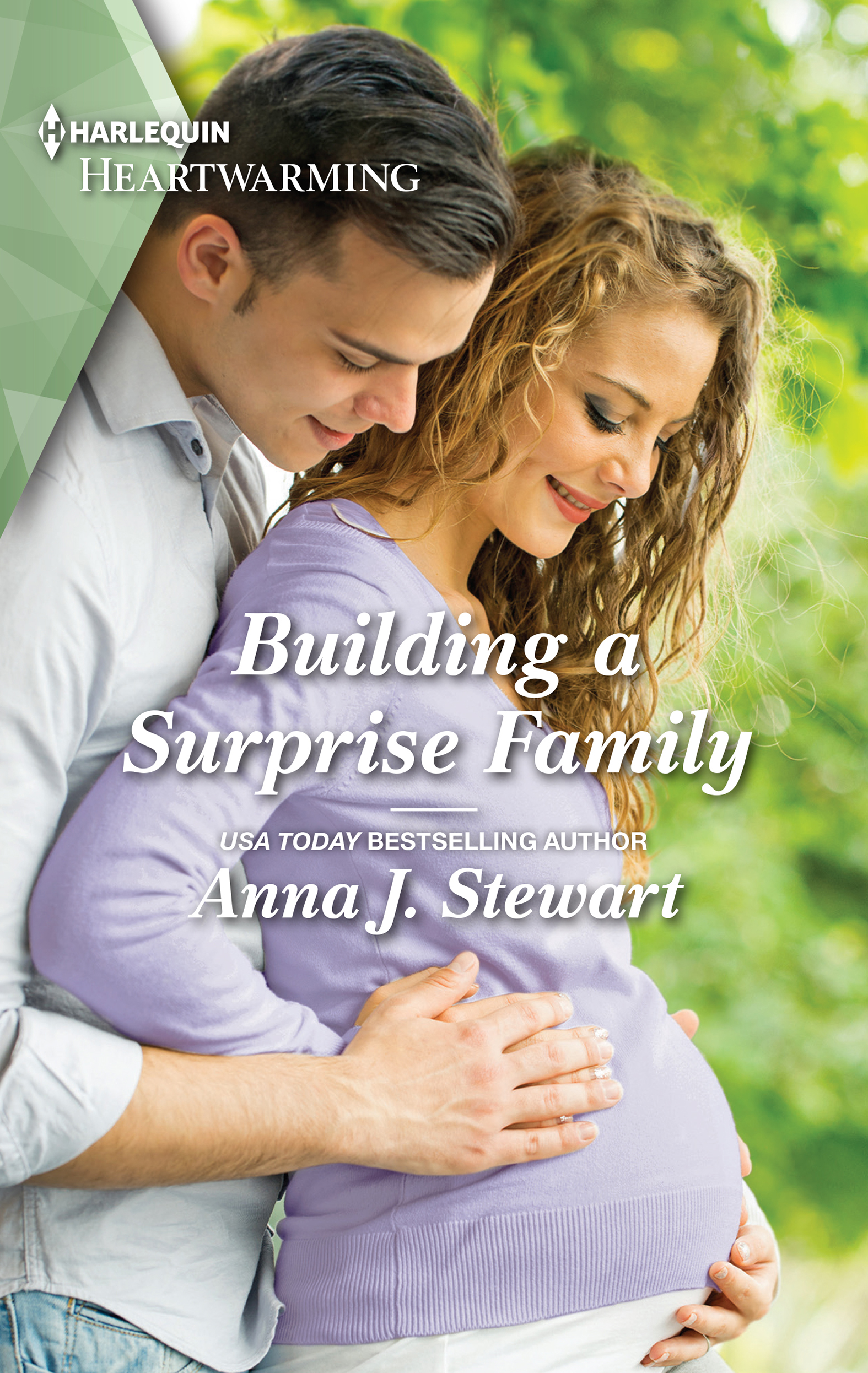 Building a Surprise Family book cover