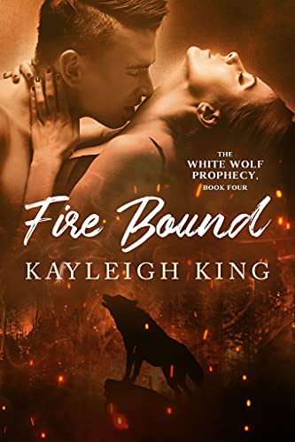 Fire Bound book cover
