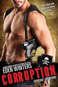 Diversion book cover 3