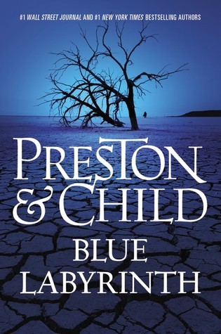 Blue Labyrinth book cover