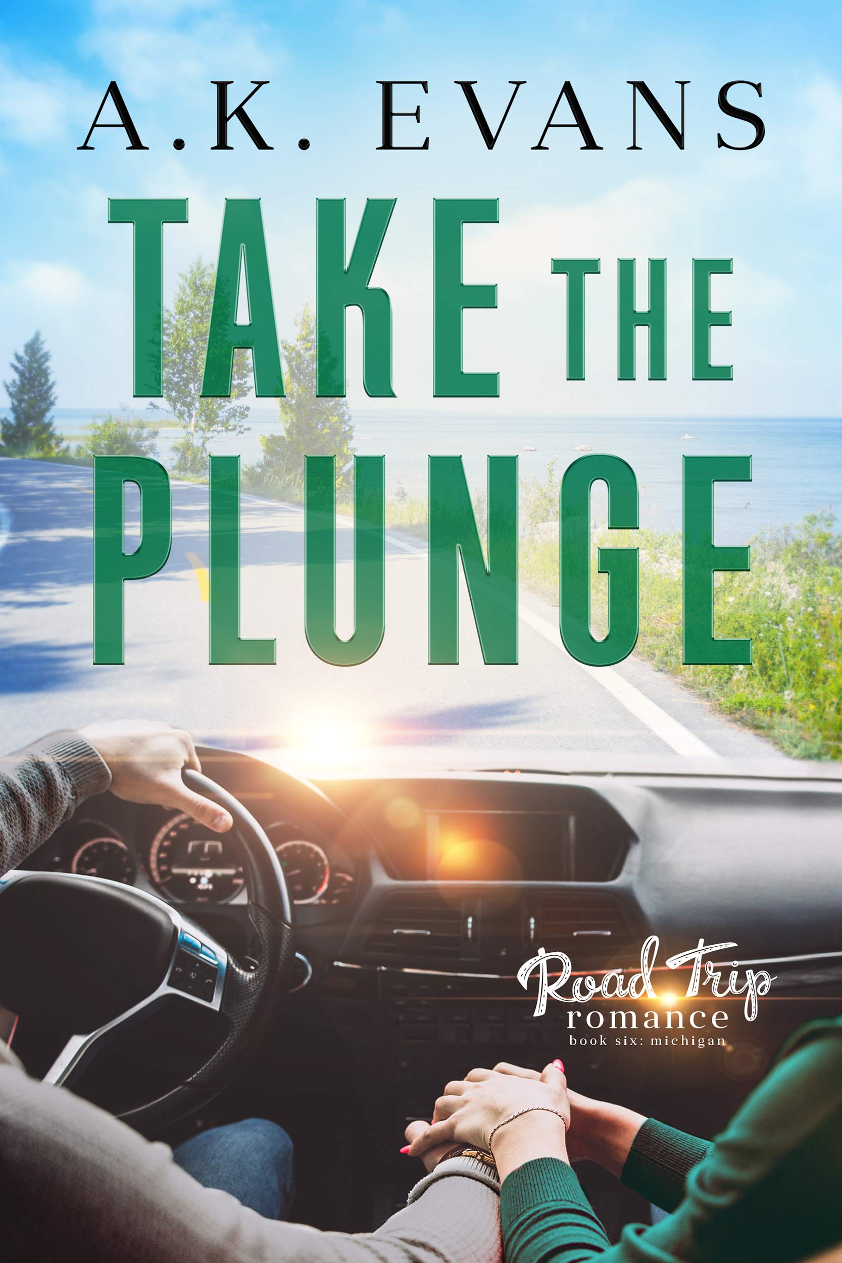 Take the Plunge book cover