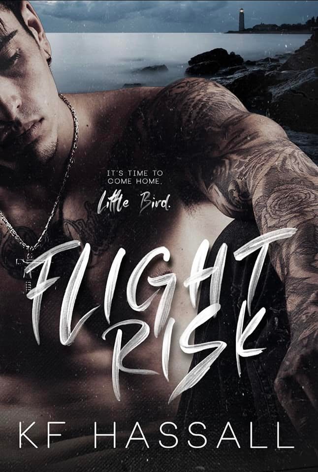 Flight Risk book cover