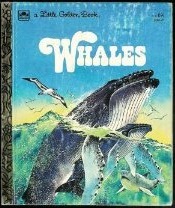 Whales book cover