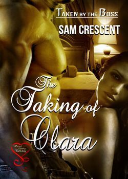 Taken by the Boss book cover 1
