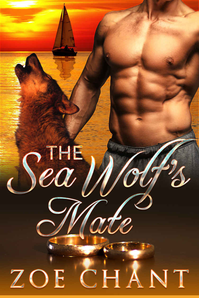 Hideaway Cove book cover 2