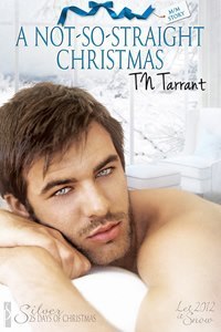 A Not-So-Straight Christmas book cover