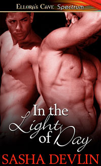 In The Light Of Day book cover