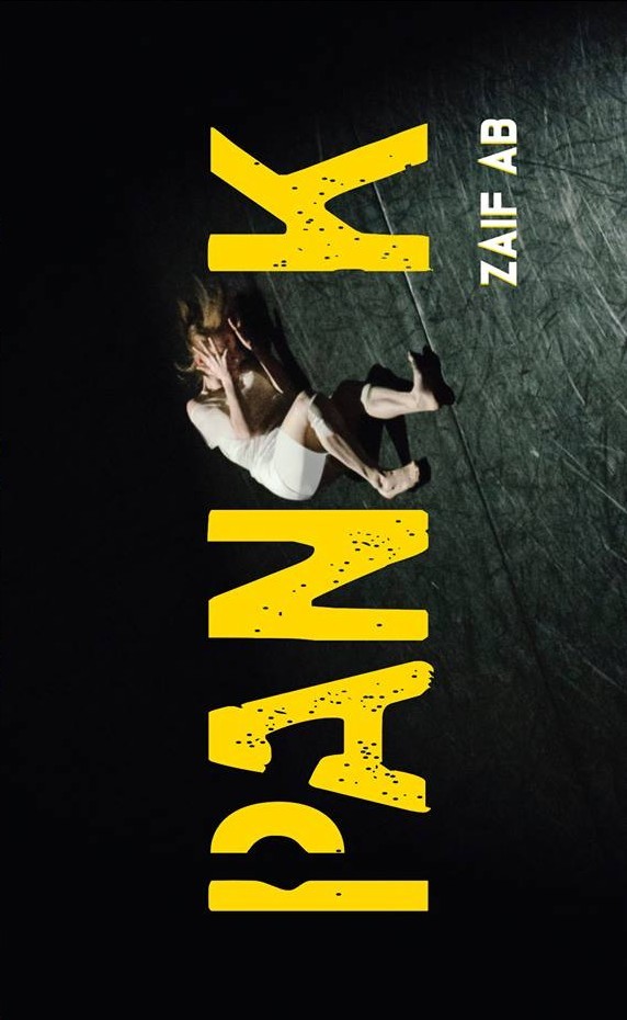 Panik book cover