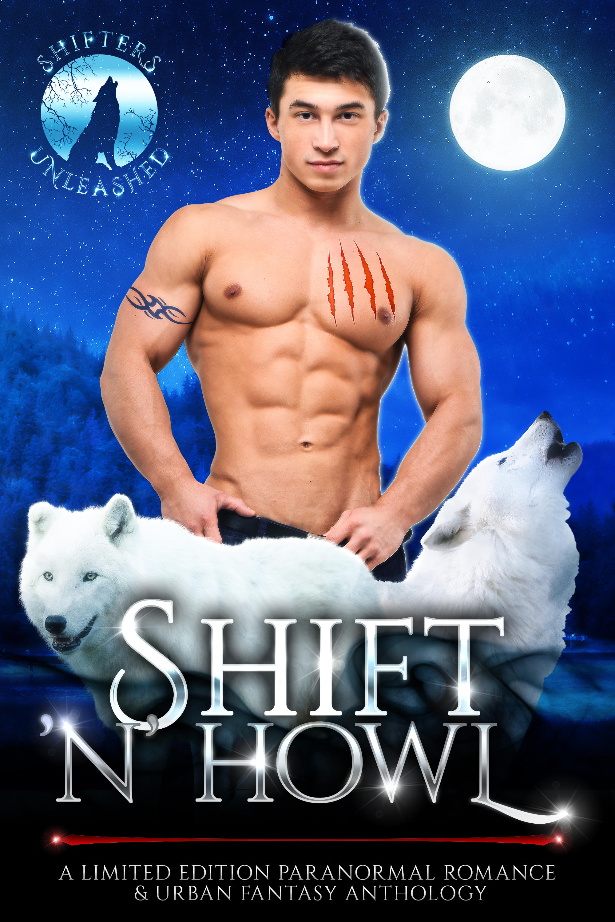 Shift 'n' Howl book cover