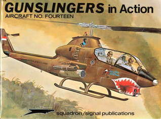 Gunslingers in Action book cover
