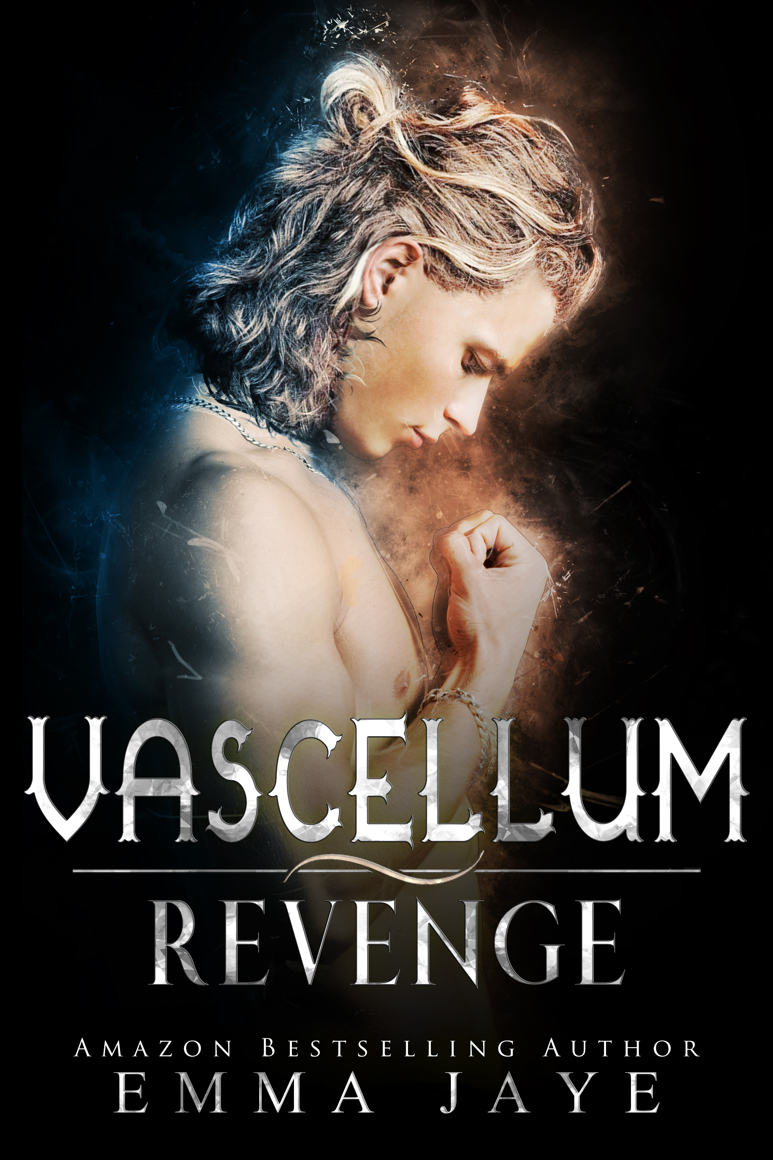 Vascellum Revenge book cover