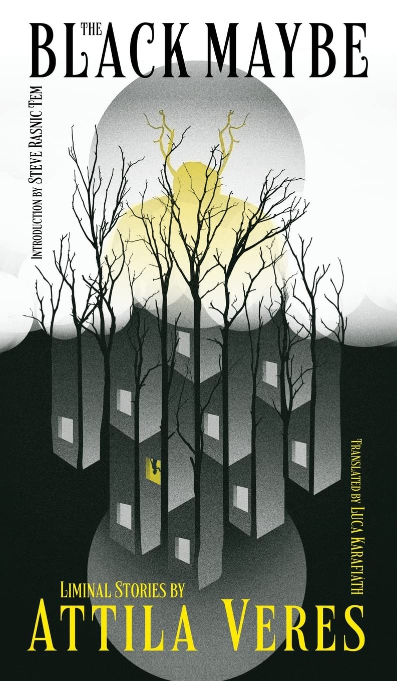 The Black Maybe book cover