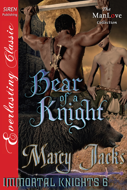 Bear of a Knight book cover