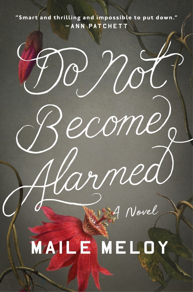 Do Not Become Alarmed book cover