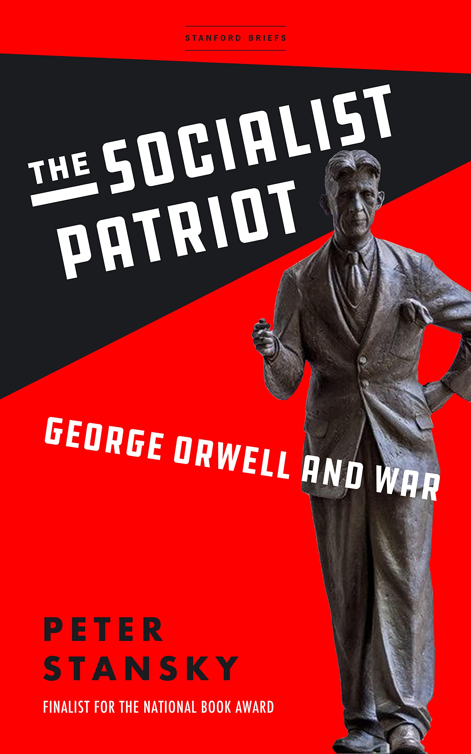 The Socialist Patriot book cover