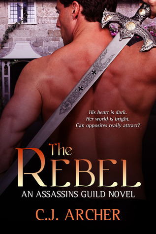 Assassins Guild book cover 2