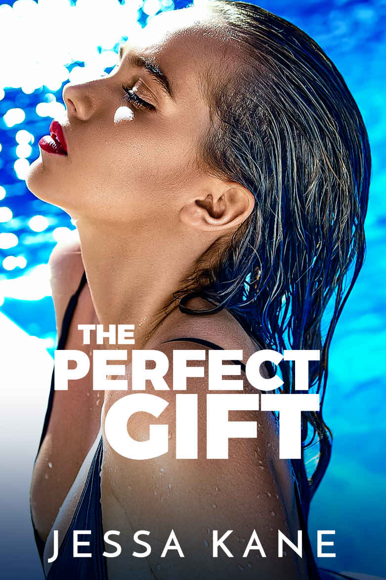 The Perfect Gift book cover