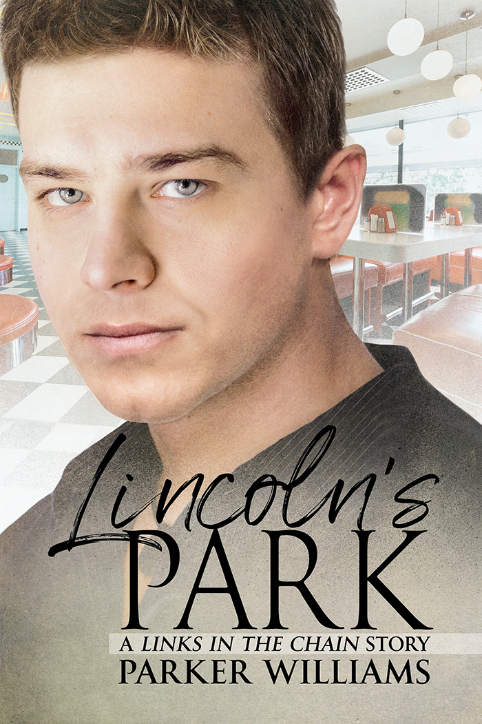 Links in the Chain book cover 1