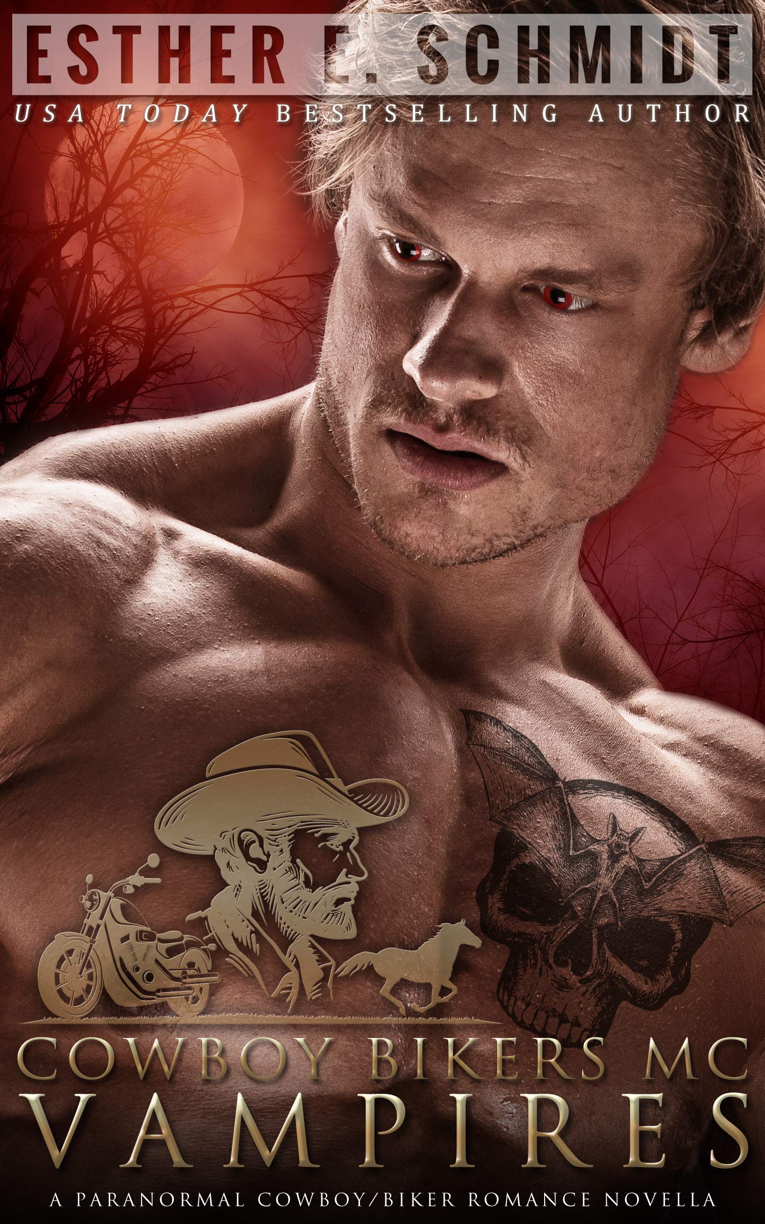 Cowboy Bikers MC book cover