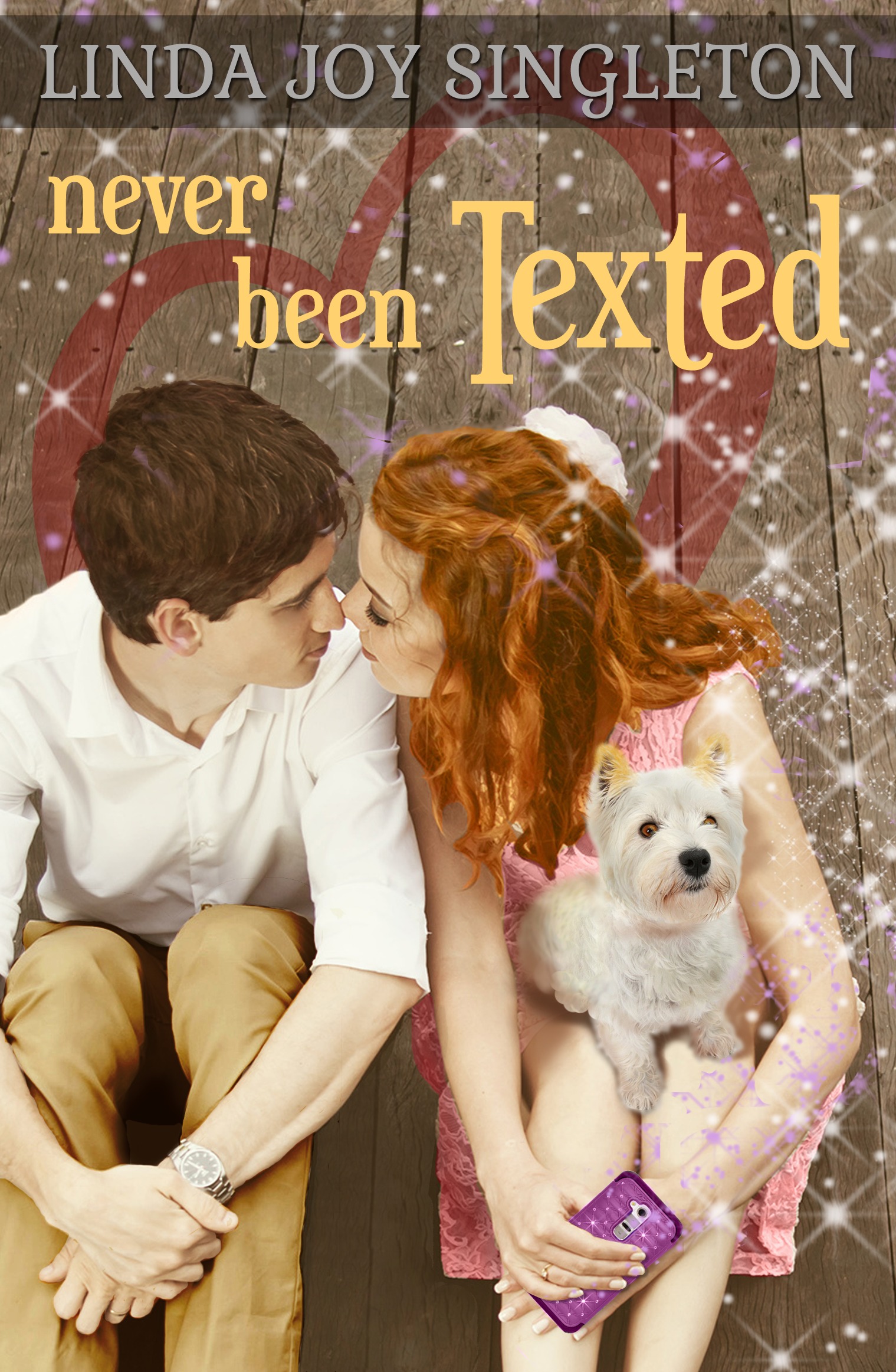 Never Been Texted book cover