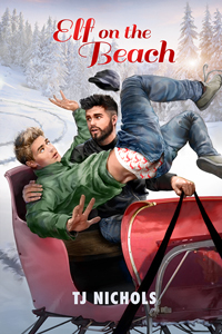 Elf on the Beach book cover