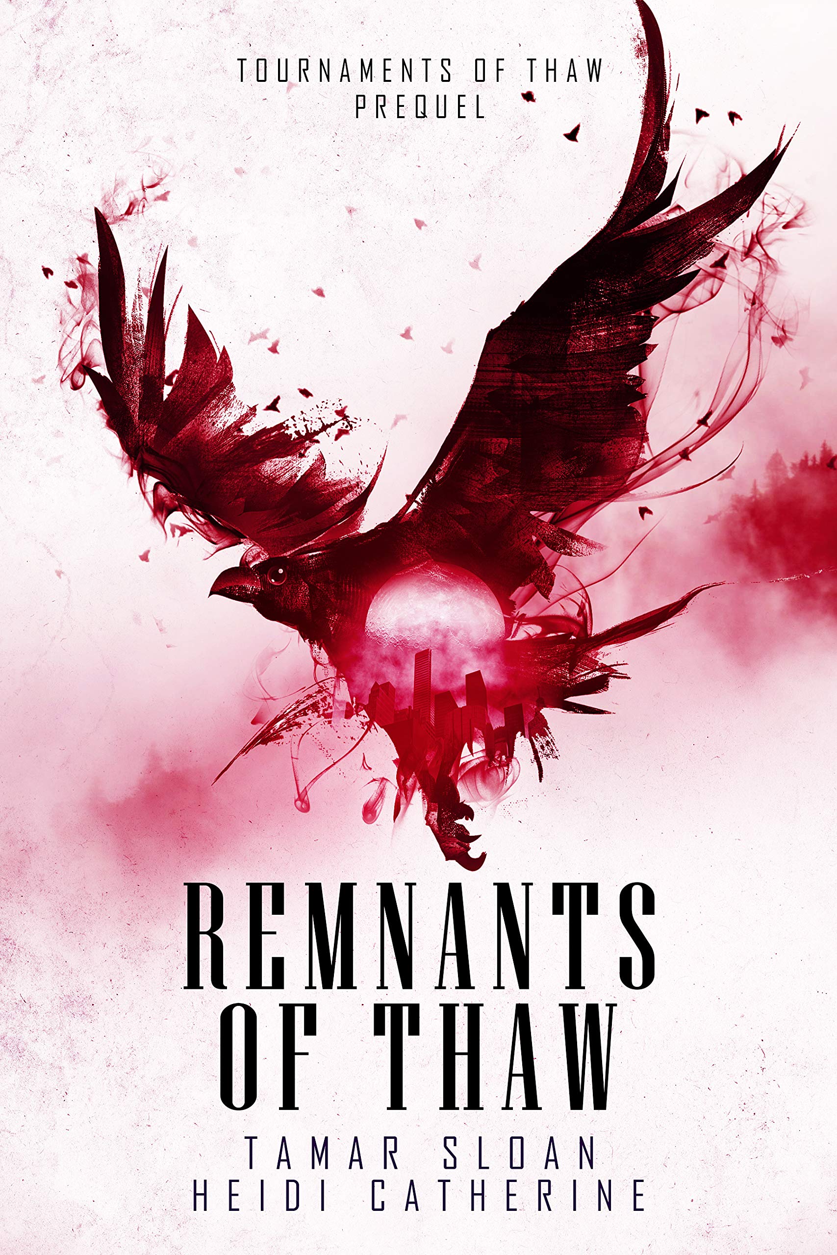 Remnants of Thaw book cover