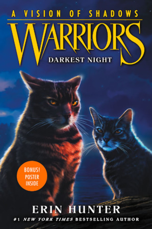 Darkest Night book cover