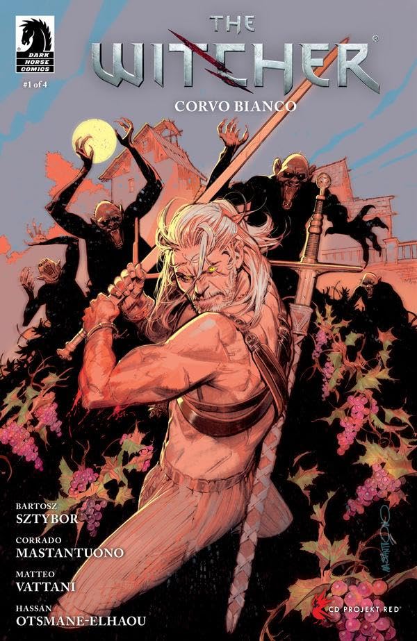 The Witcher book cover