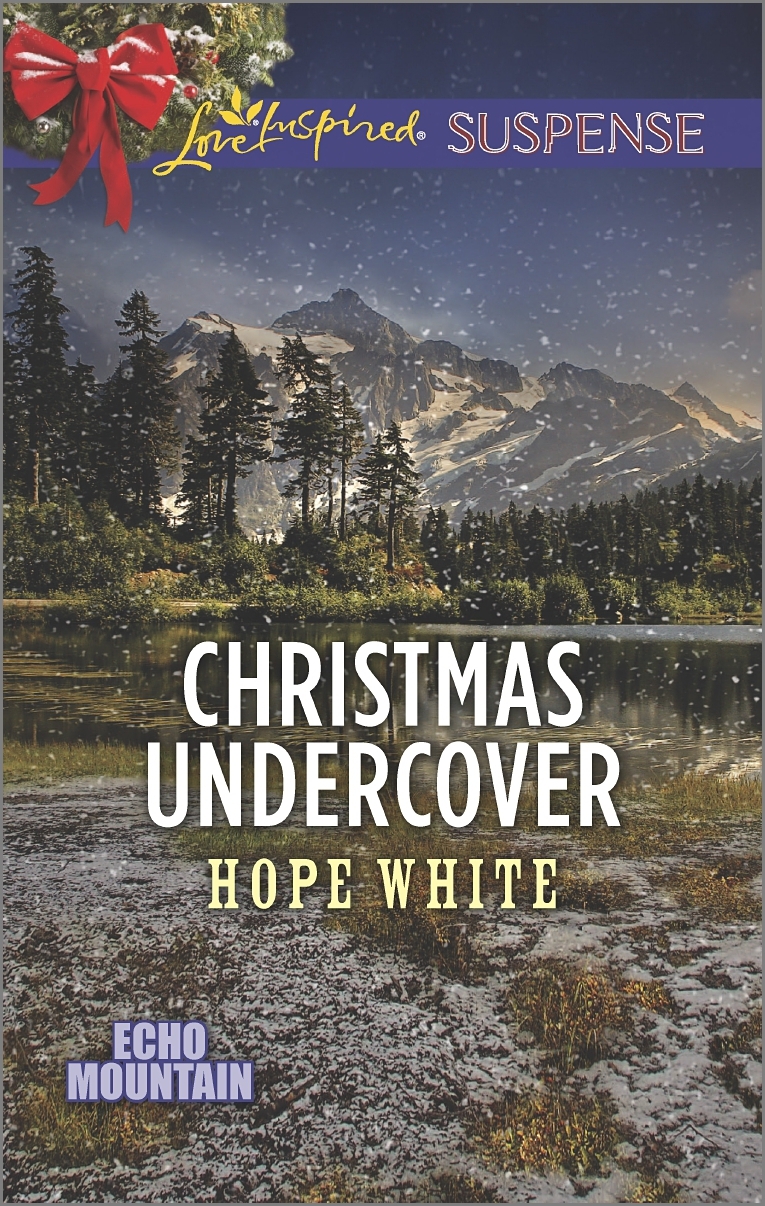 Christmas Undercover book cover