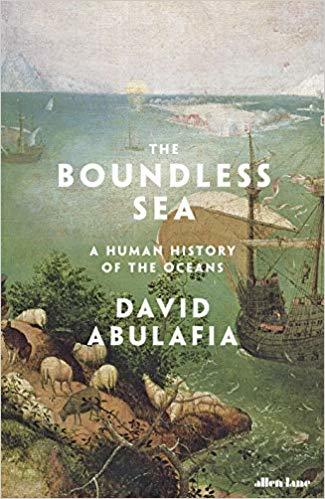 The Boundless Sea book cover