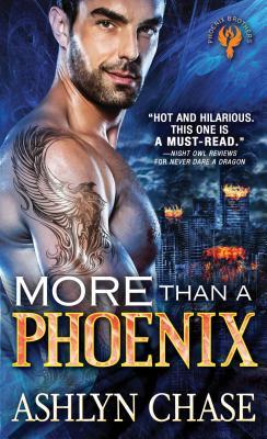 Phoenix Brothers book cover 2