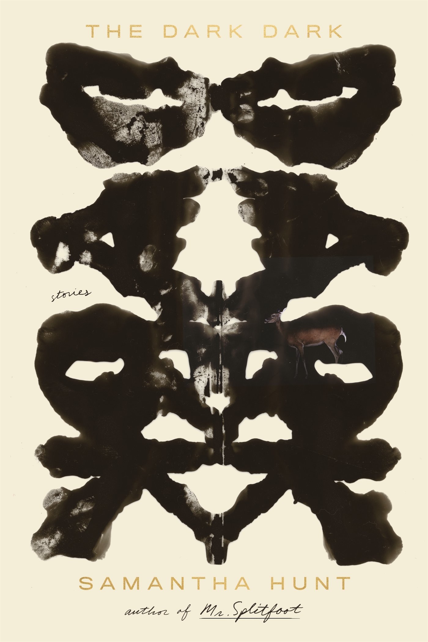 The Dark Dark book cover