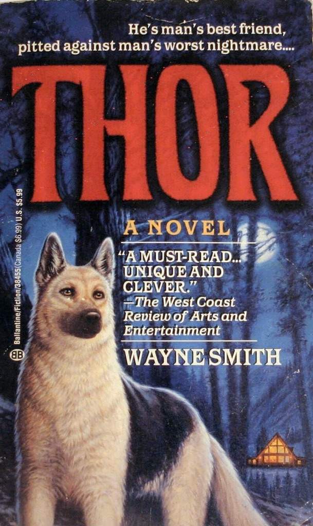 Thor book cover