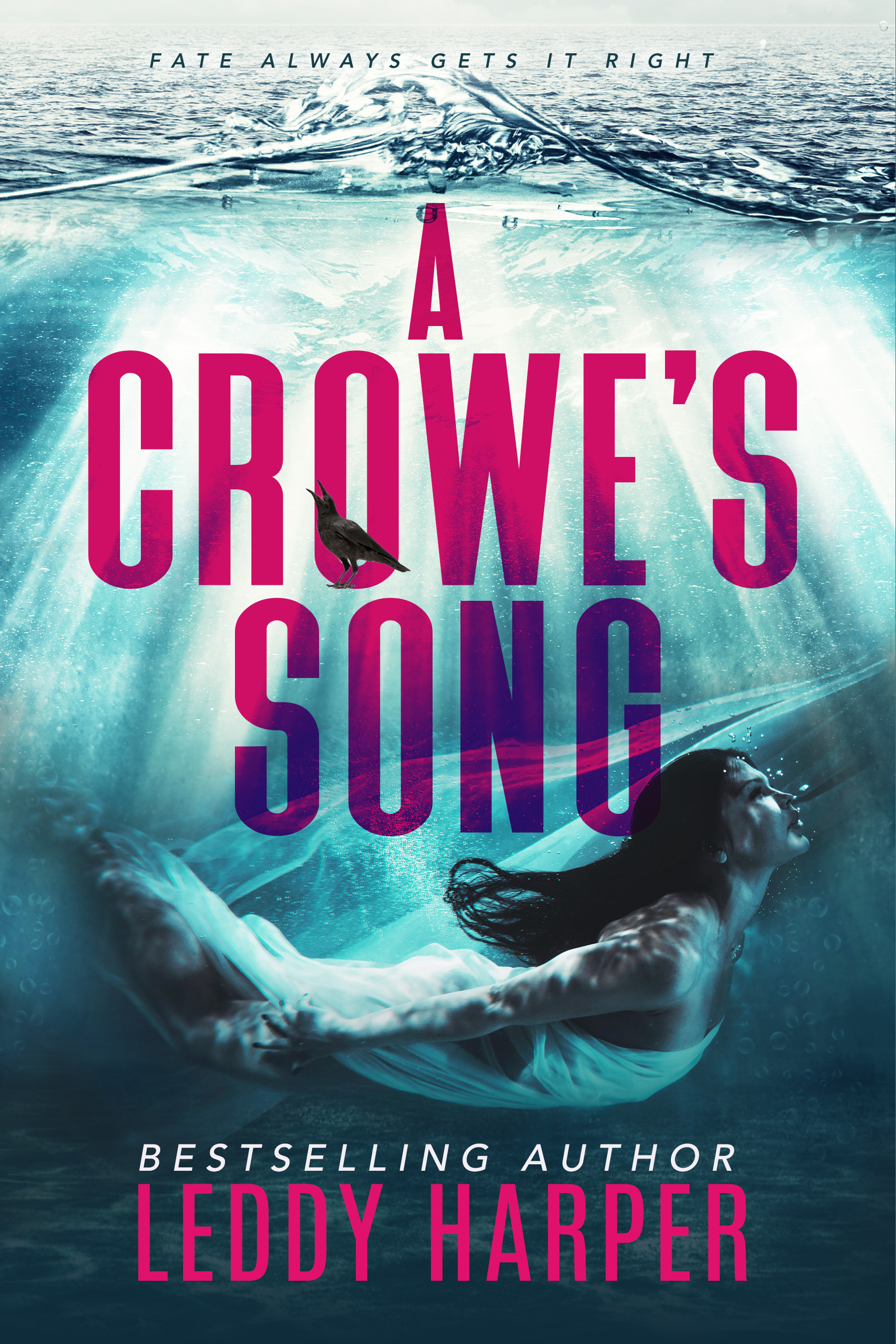 A Crowe's Song book cover