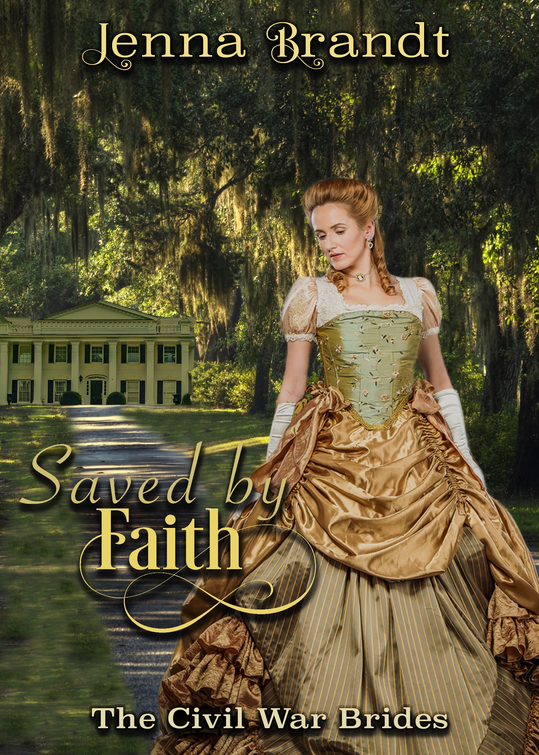 The Civil War Brides book cover 1