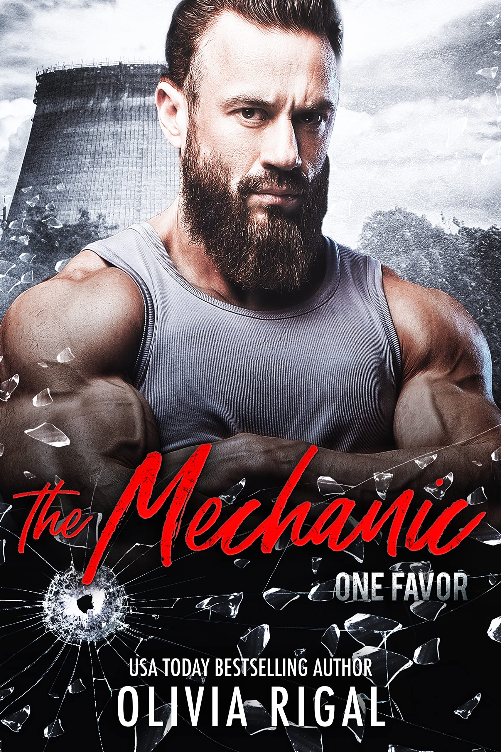 The Mechanic book cover