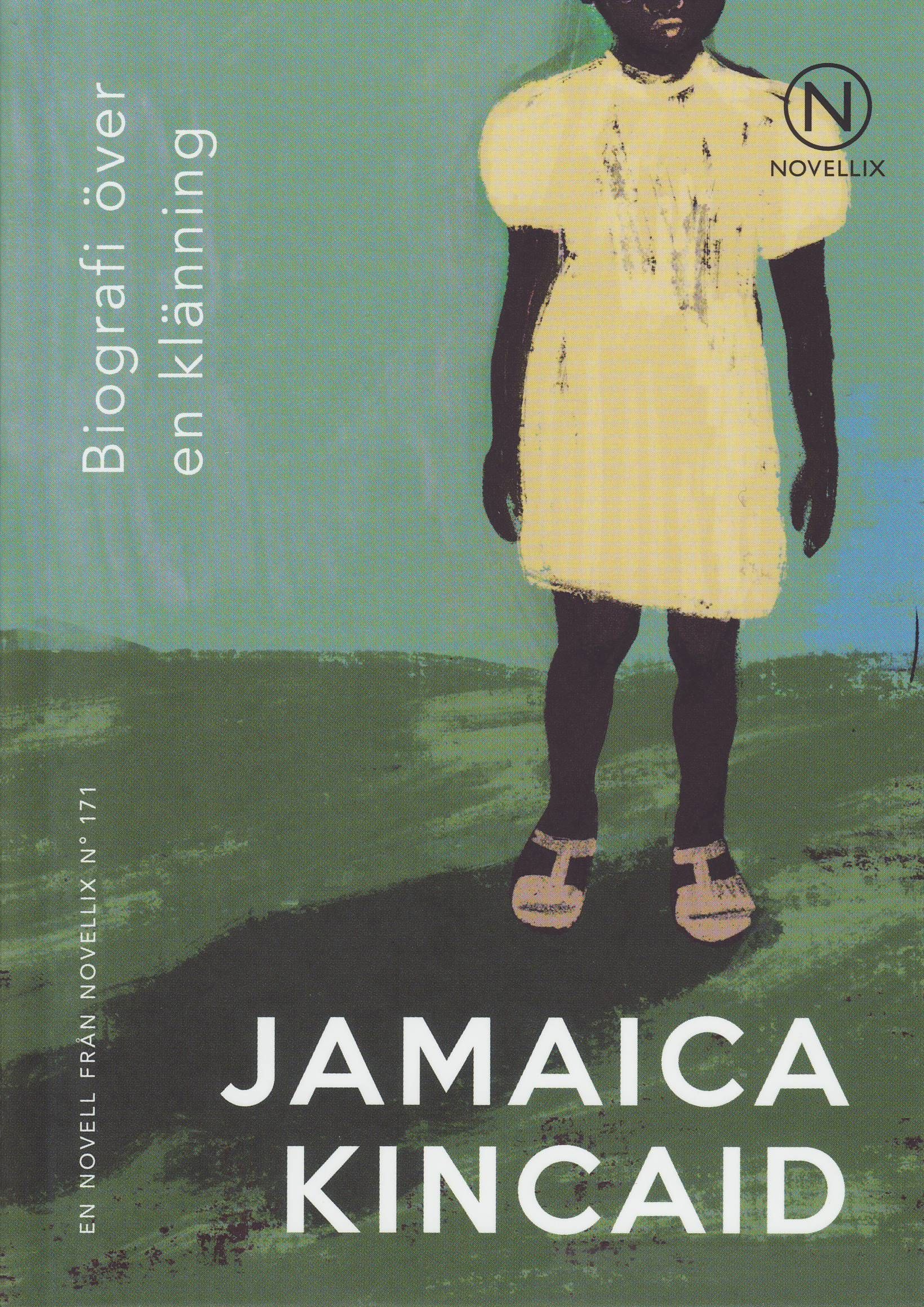 Biography of a dress book cover