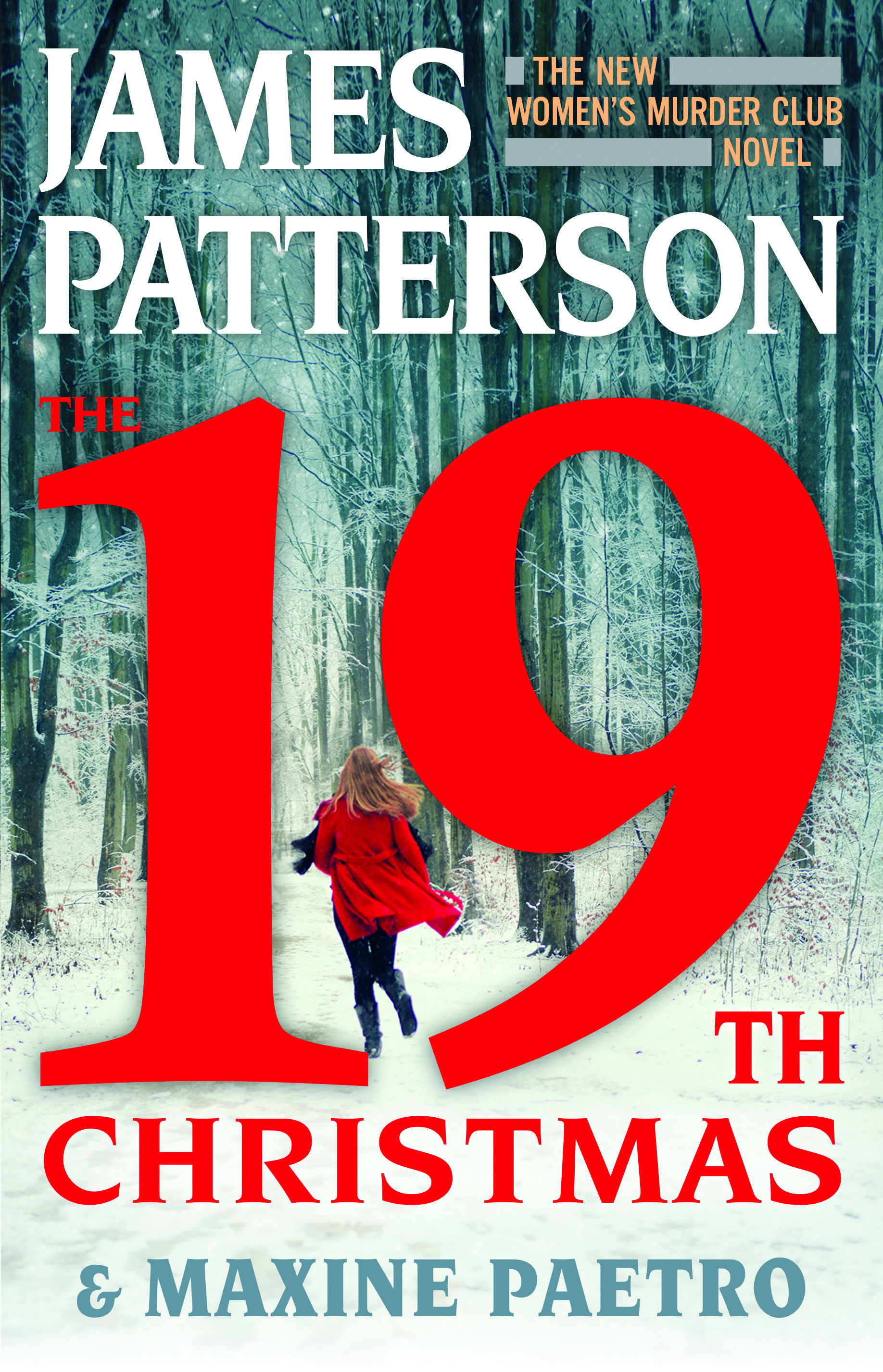 The 19th Christmas book cover