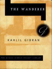 The Wanderer book cover