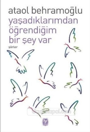 Something I Learned from What I Lived book cover