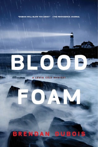 Blood Foam book cover