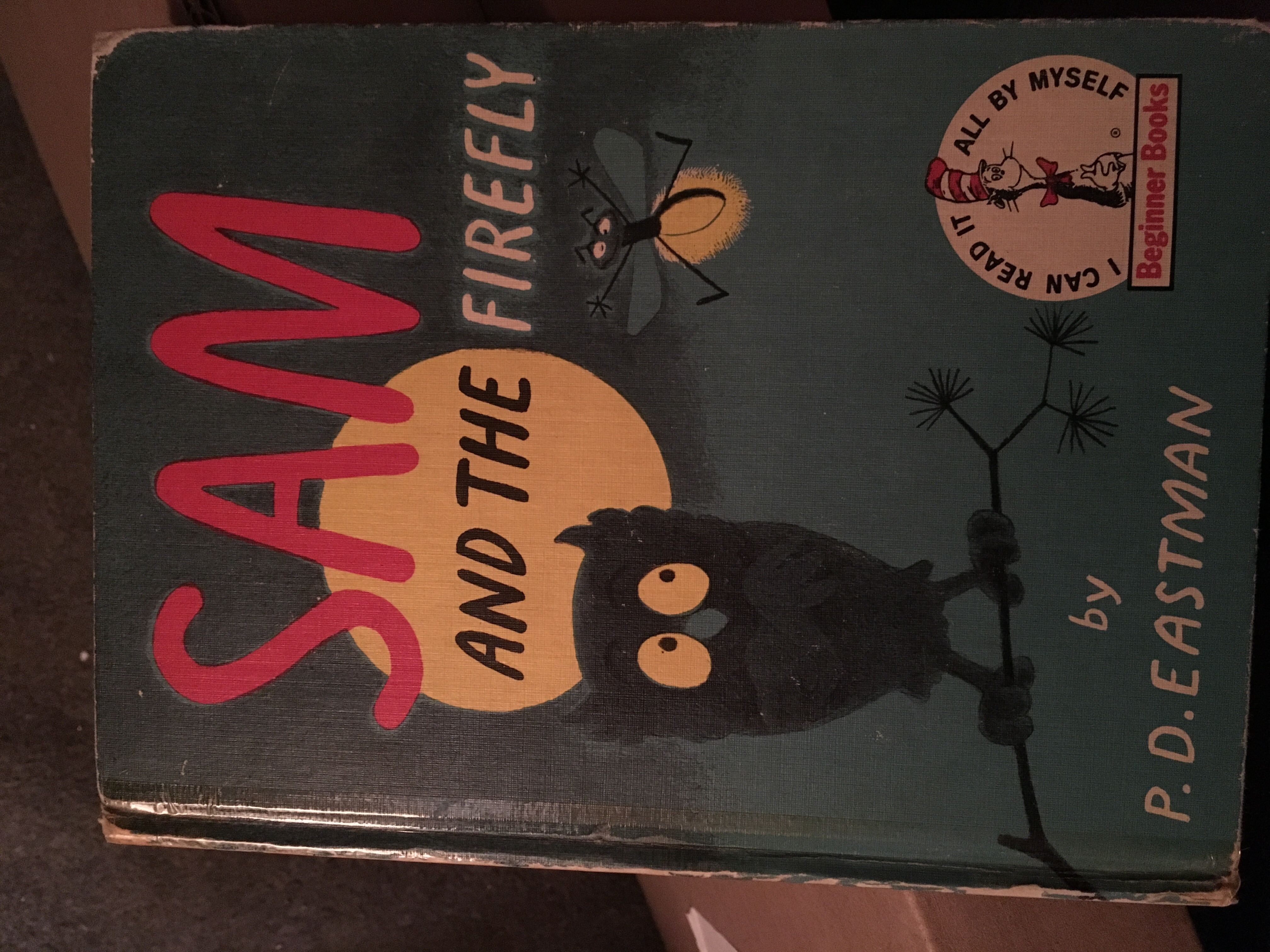 Sam and the Firefly book cover
