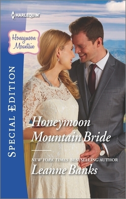 Honeymoon Mountain book cover 1