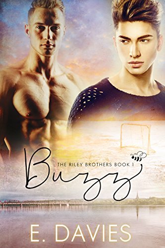 The Riley Brothers book cover 1